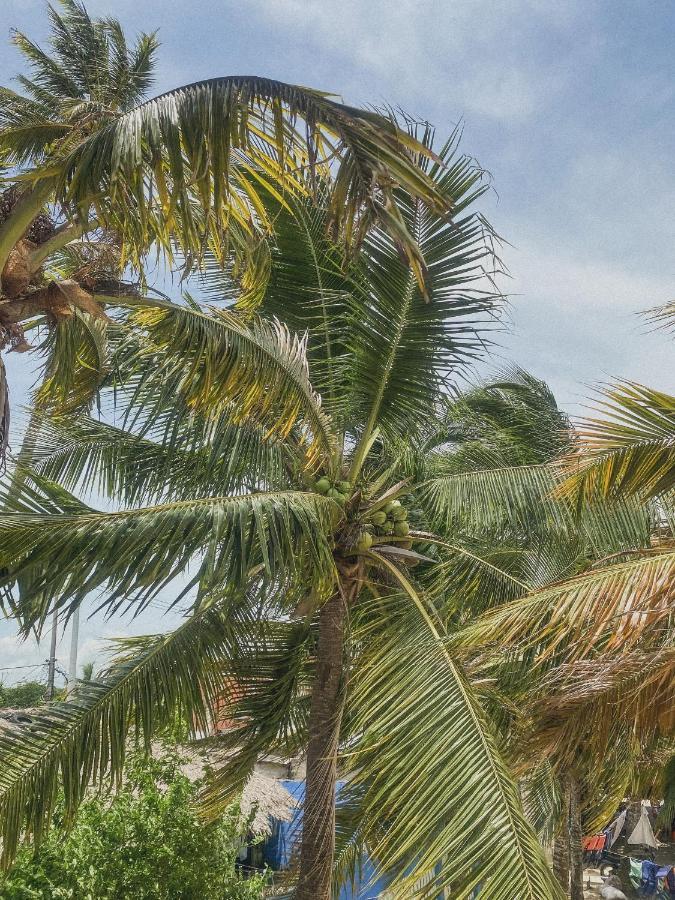 Mamallena Beachside Rincon Del Mar Bagian luar foto